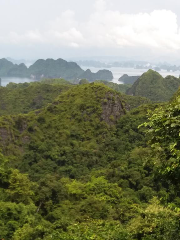 Duc Tuan Hotel Хайфон Экстерьер фото